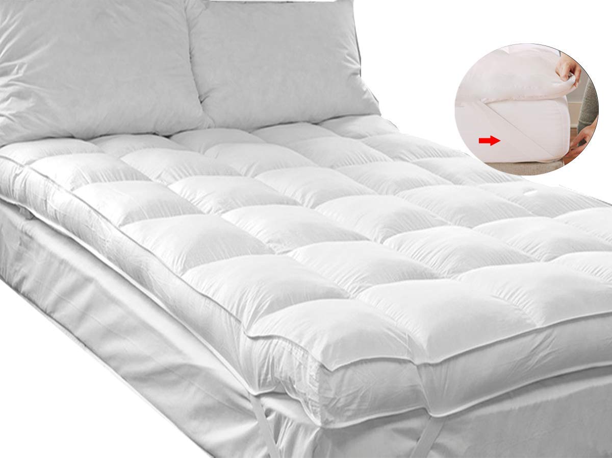 QUEEN ROSE review by www.dailysleep.org