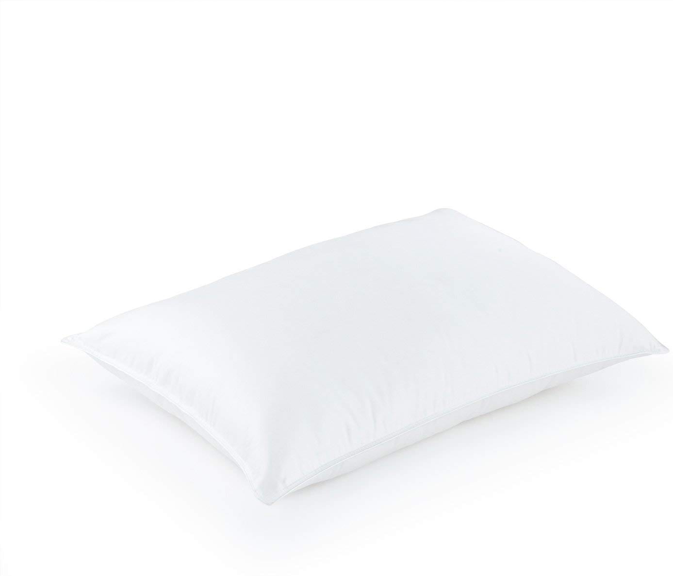 goose down pillow reviews