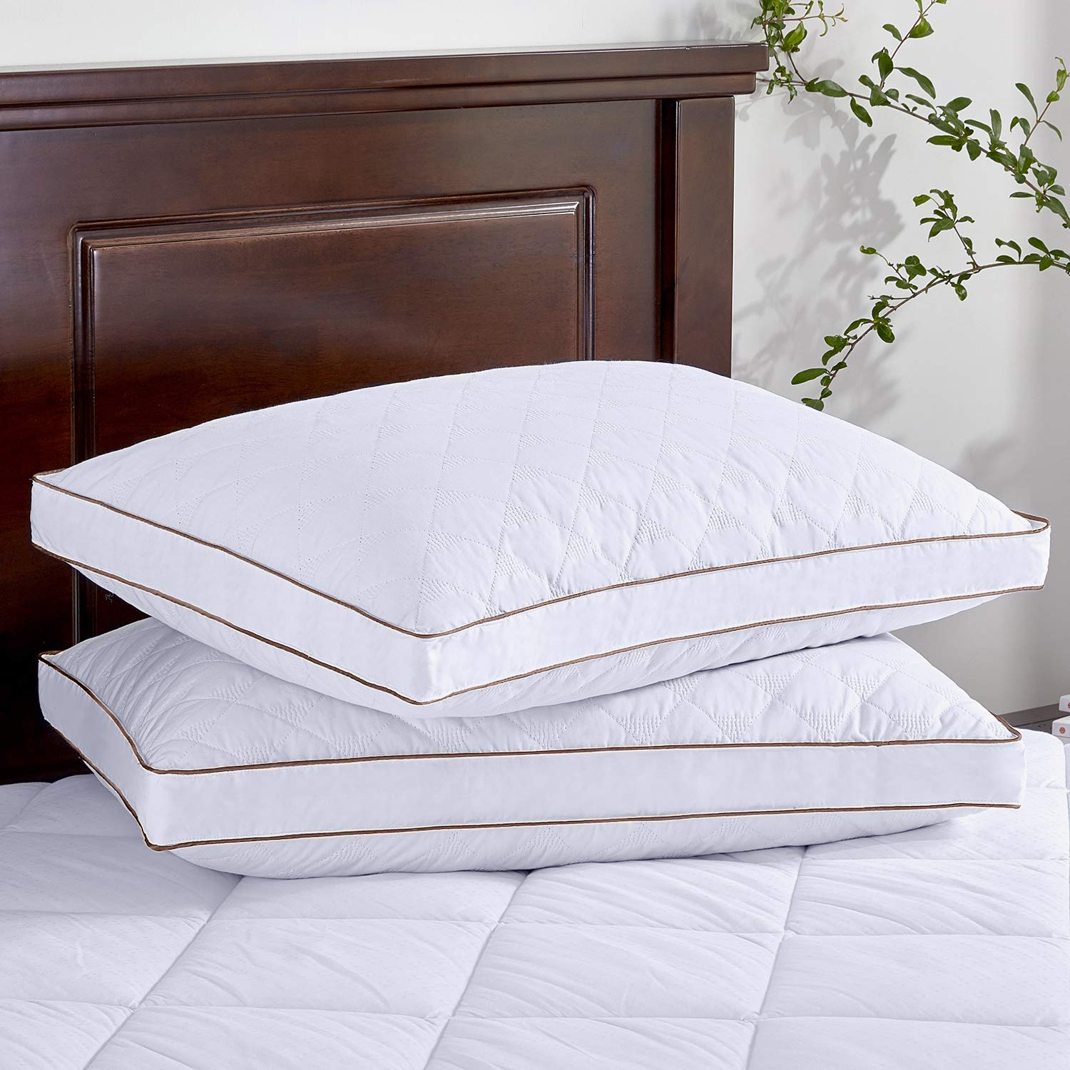 Puredown Goose Down Feather Pillow (Set of 2)